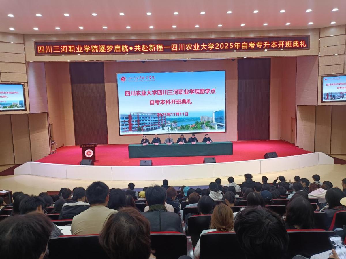 1111111111111图片1